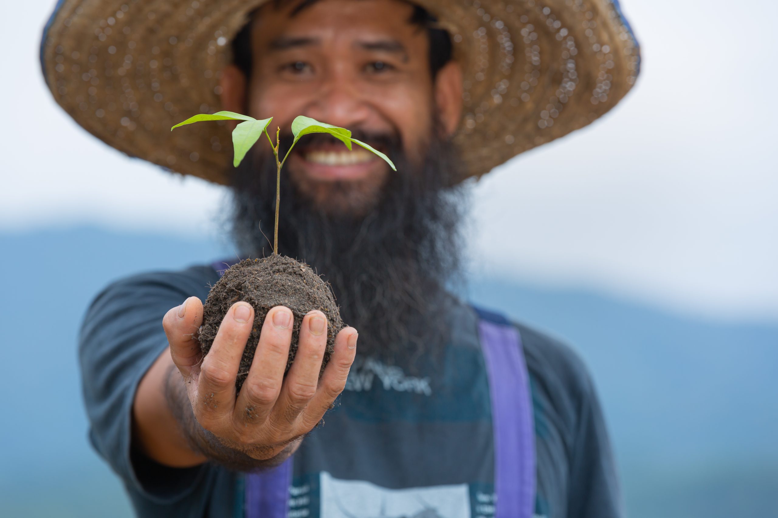 close up picture of gardener's hand holding the sapling of the plant