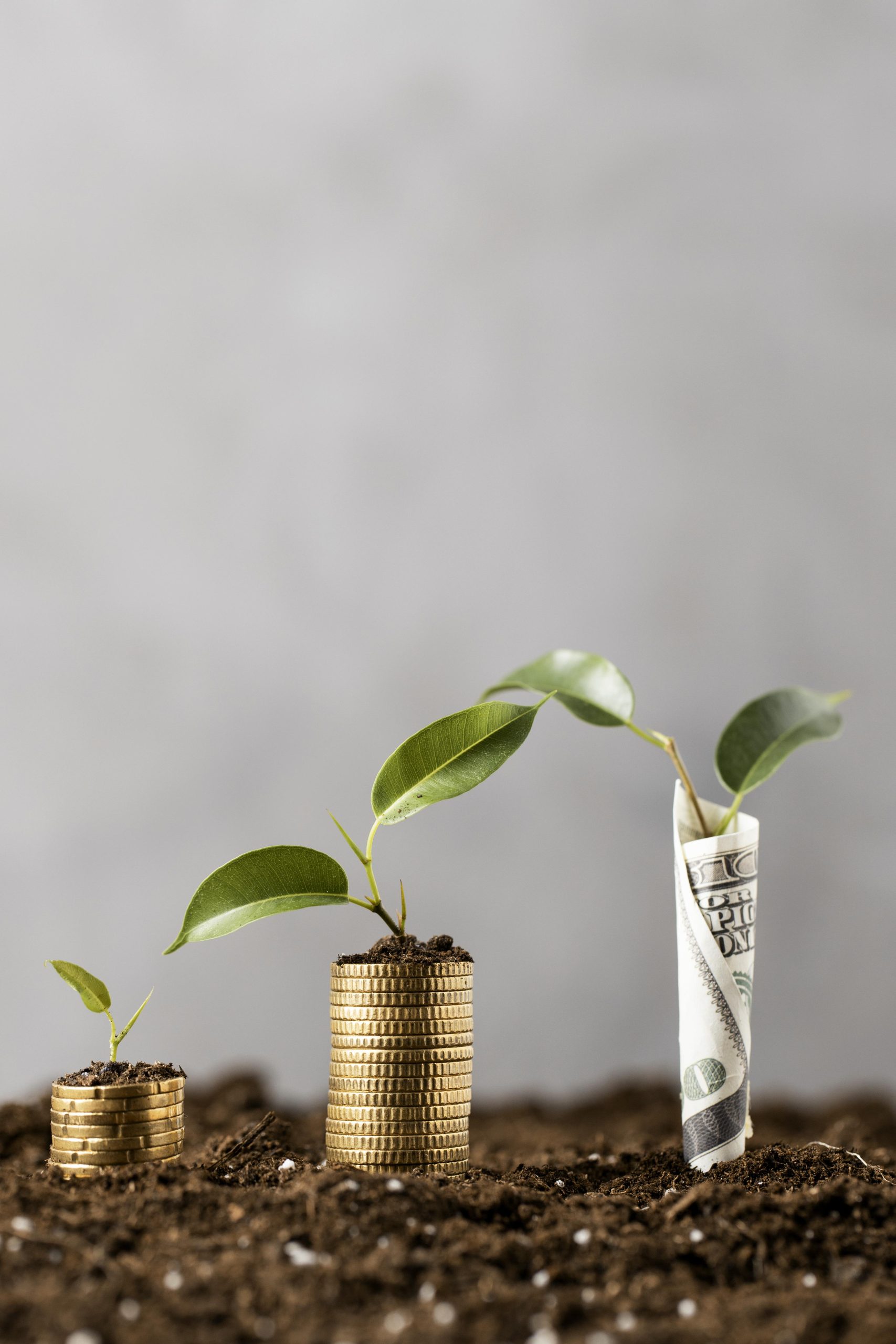 front-view-plants-with-coins-stacked-dirt-banknote